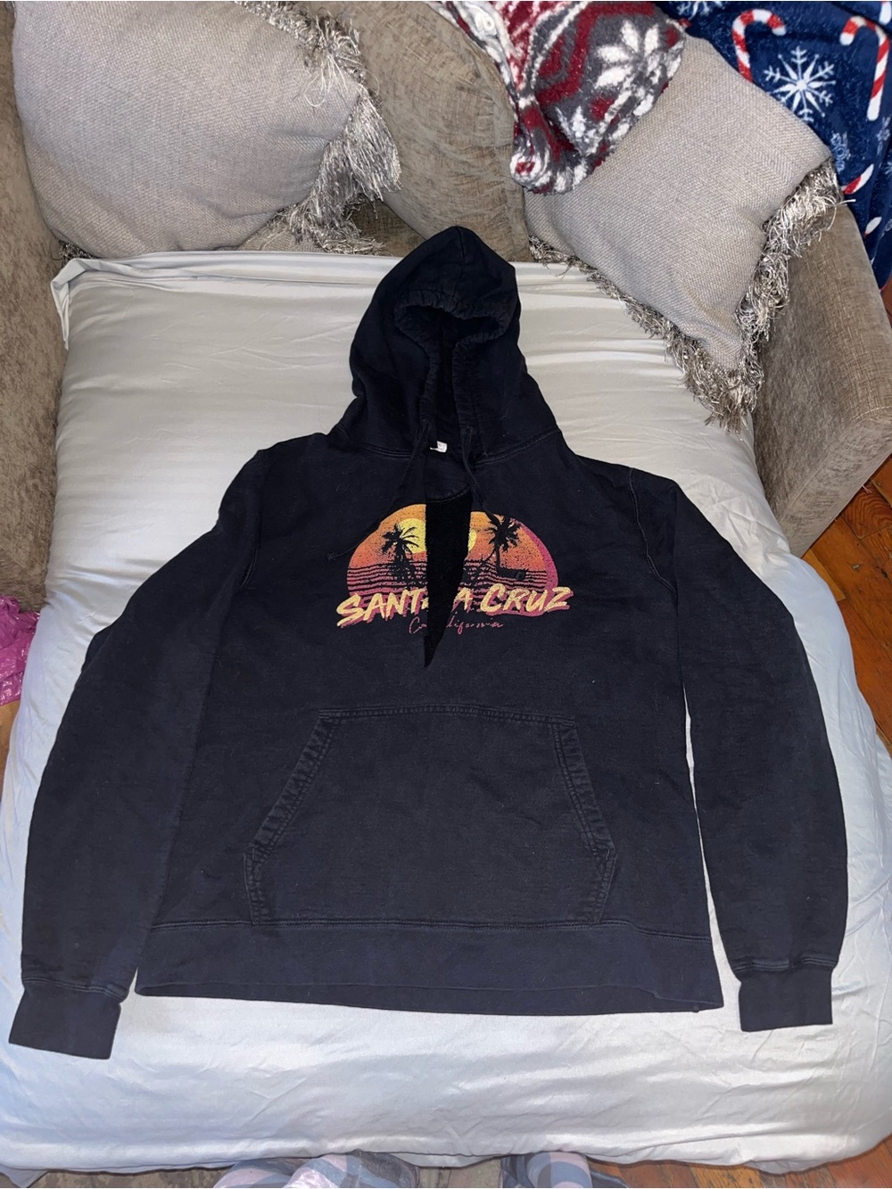 Santa Cruz Skateboards Black Hoodie with Sunset Palm Logo